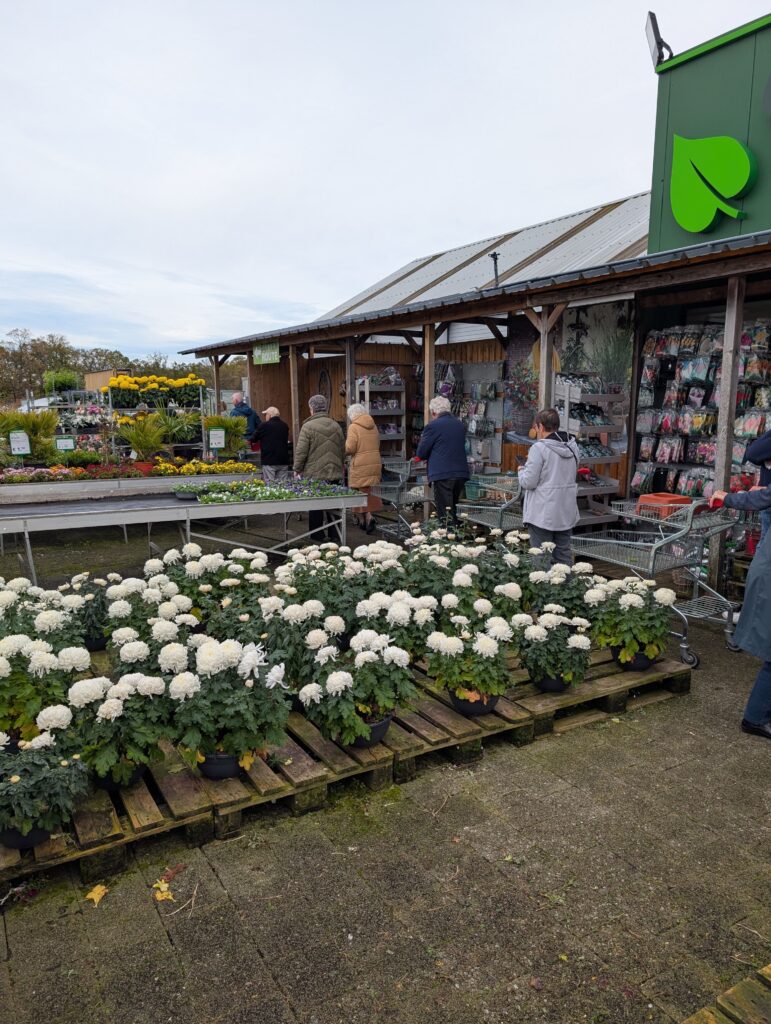 Een foto van Bloemenland tijdens Allerheiligen.
